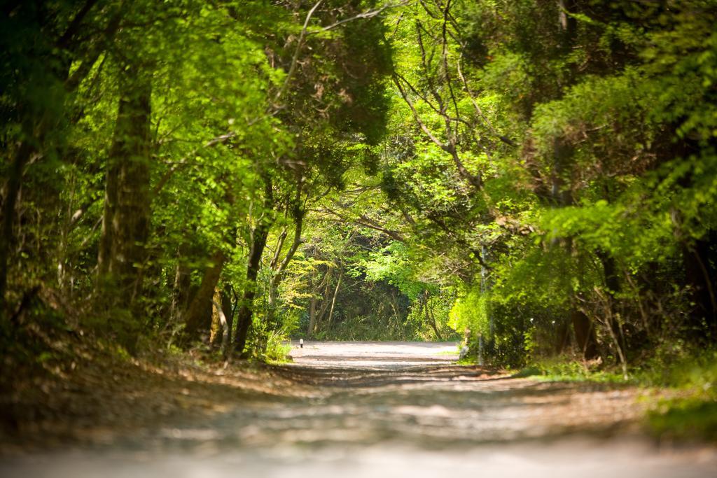 Forest Inn Born Yufu Ngoại thất bức ảnh