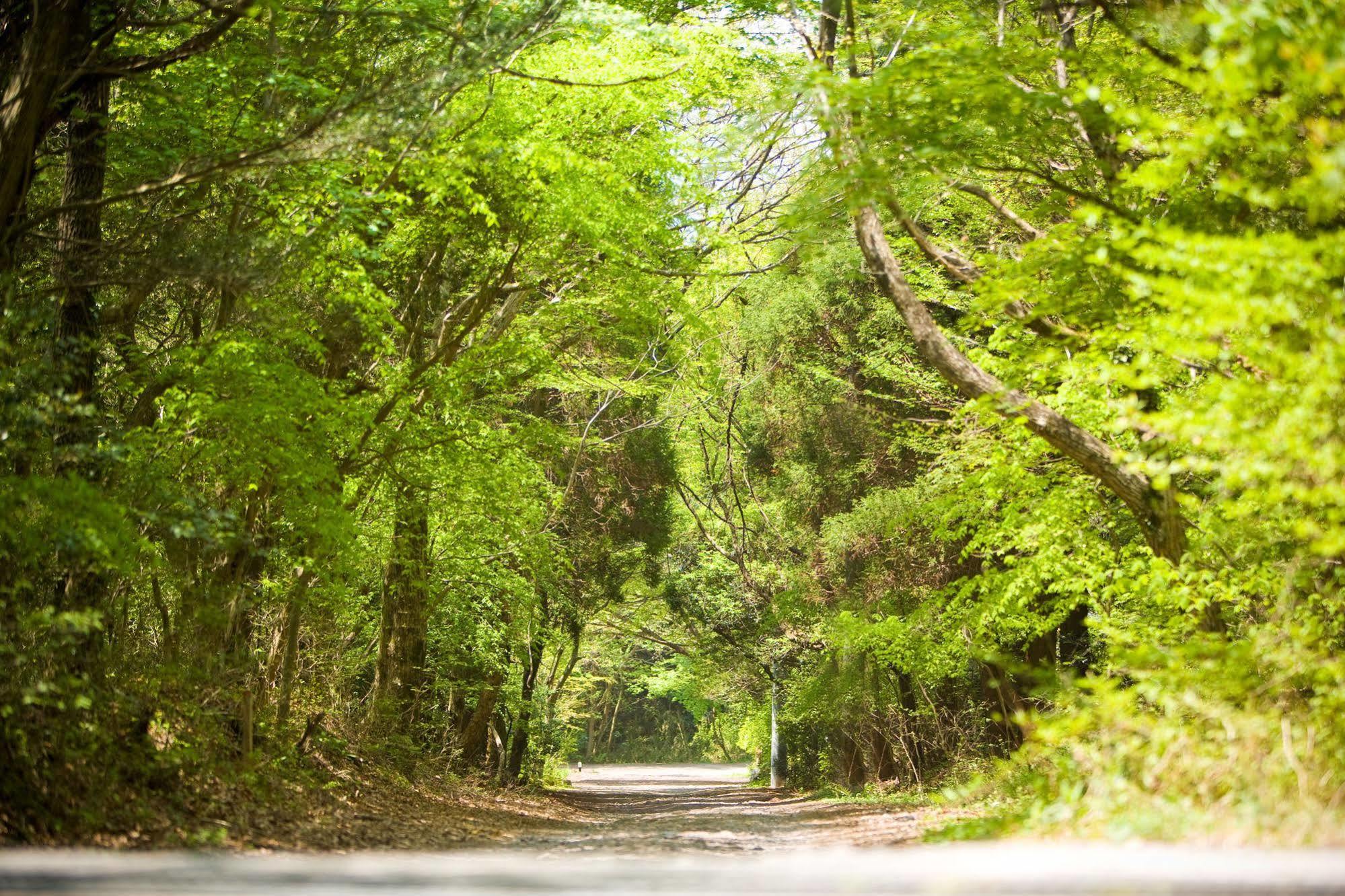 Forest Inn Born Yufu Ngoại thất bức ảnh